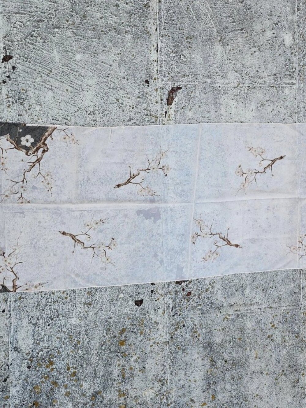 Women Scarf Long Chiffon Blossom Oriental Light Weight Long Scarf New - Picture 5 of 8